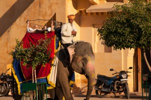 Energies du Rajasthan !